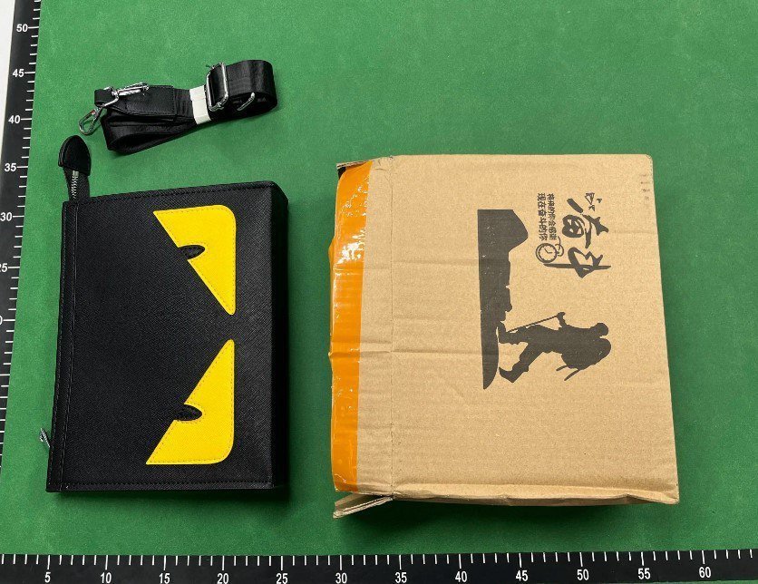 Fendi Msg Bag 
