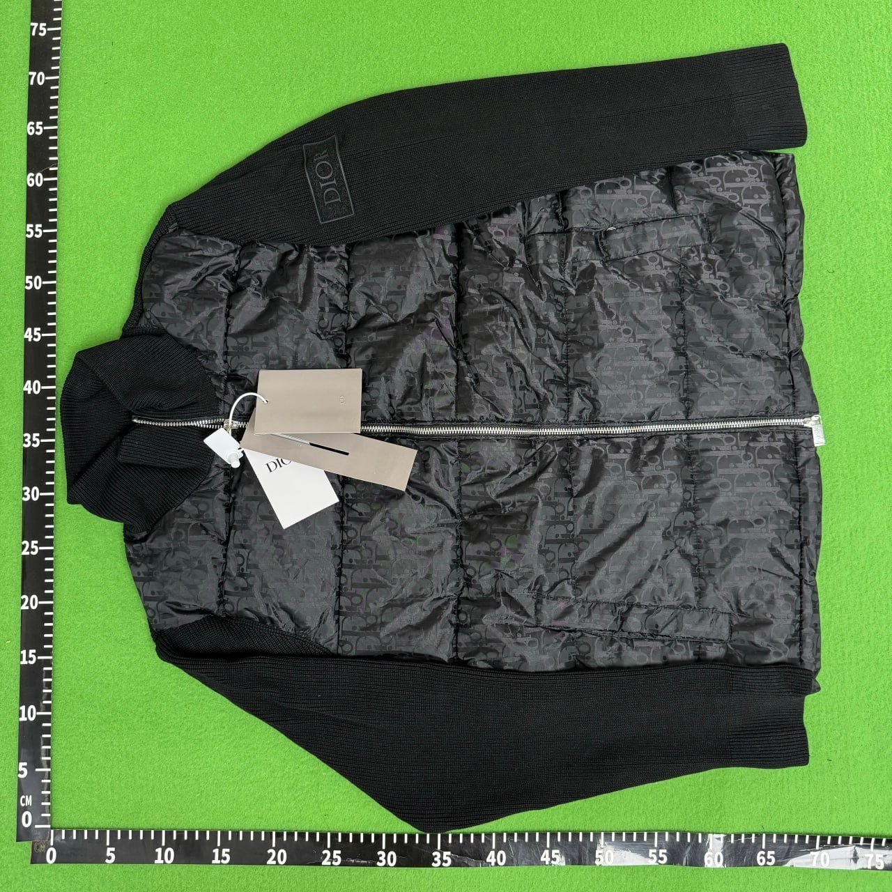 Dior down jackets/Dior down vest