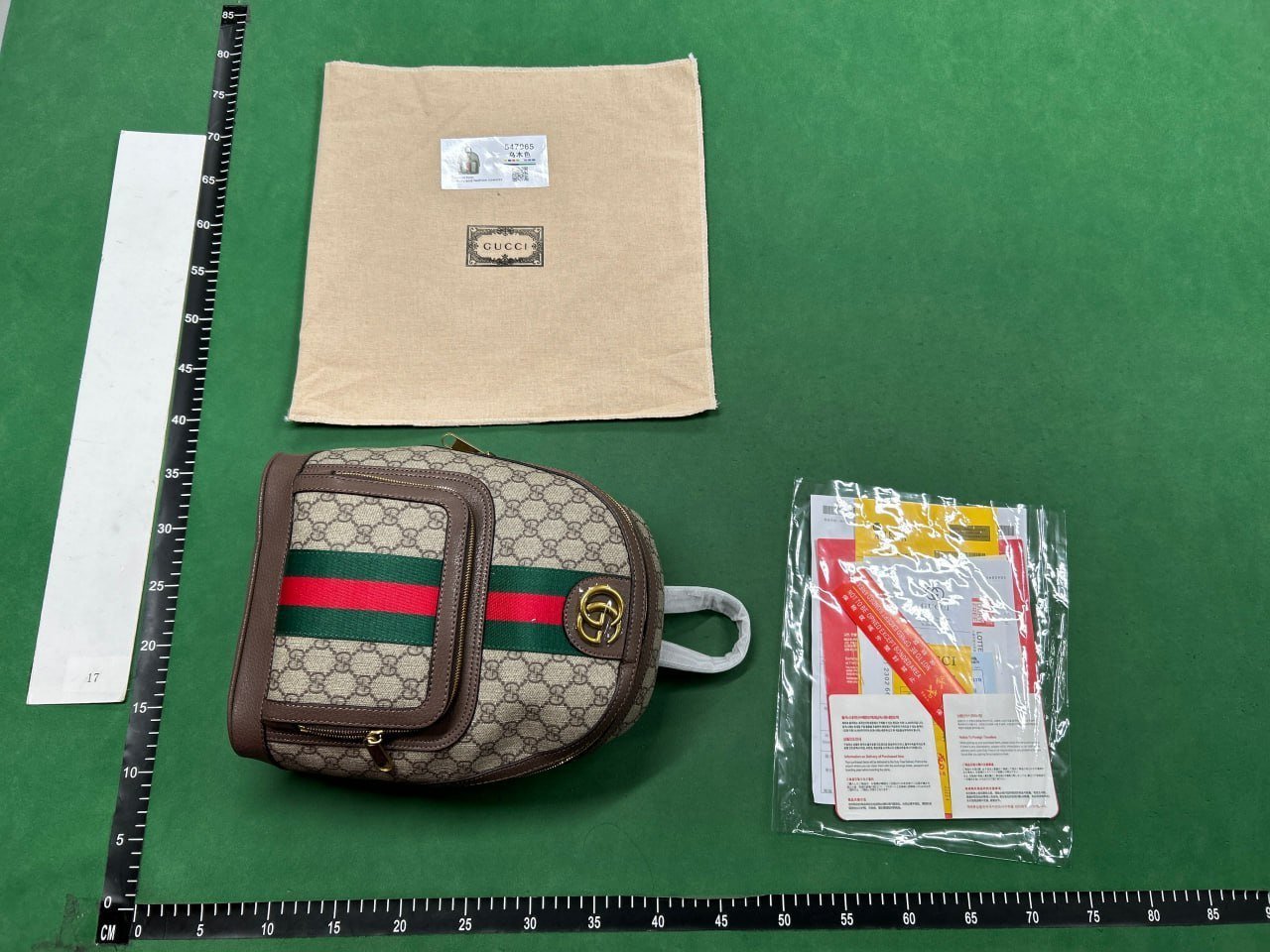 Gucci Backpack bag