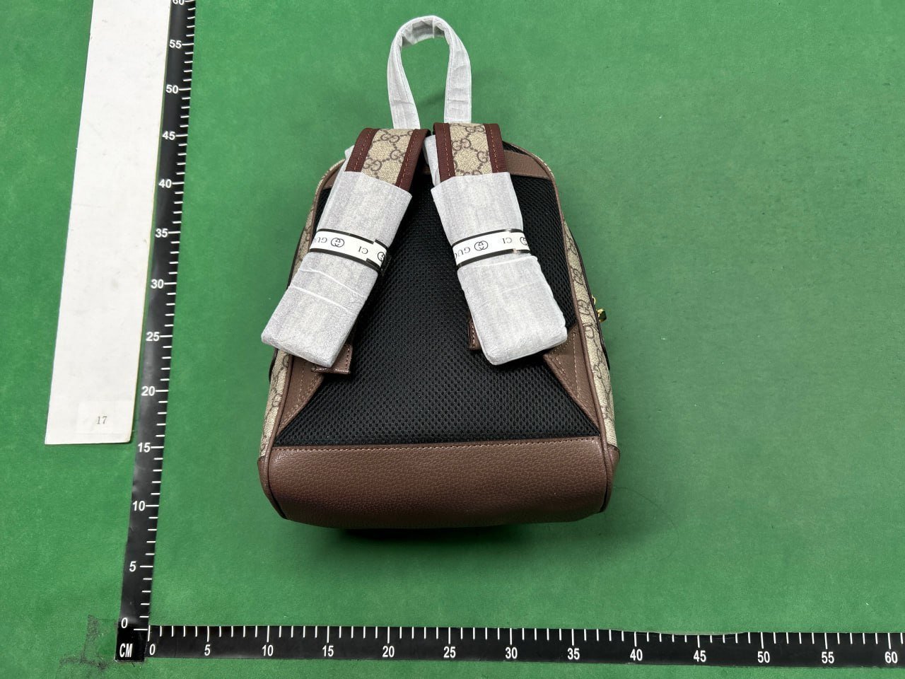 Gucci Backpack bag