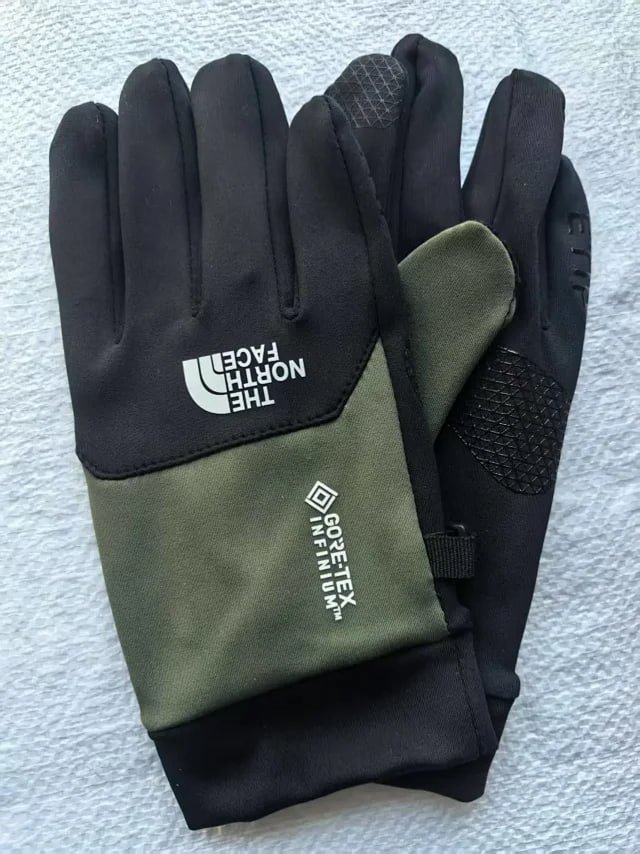 the north face glove