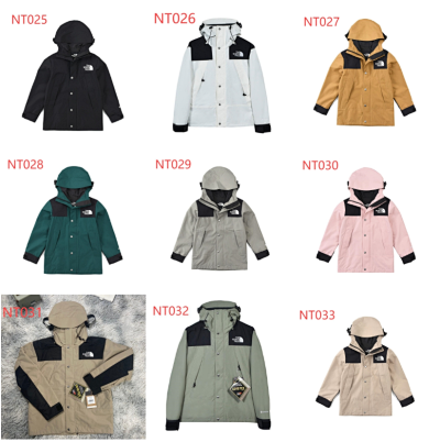 The Noth Face lambswool coat