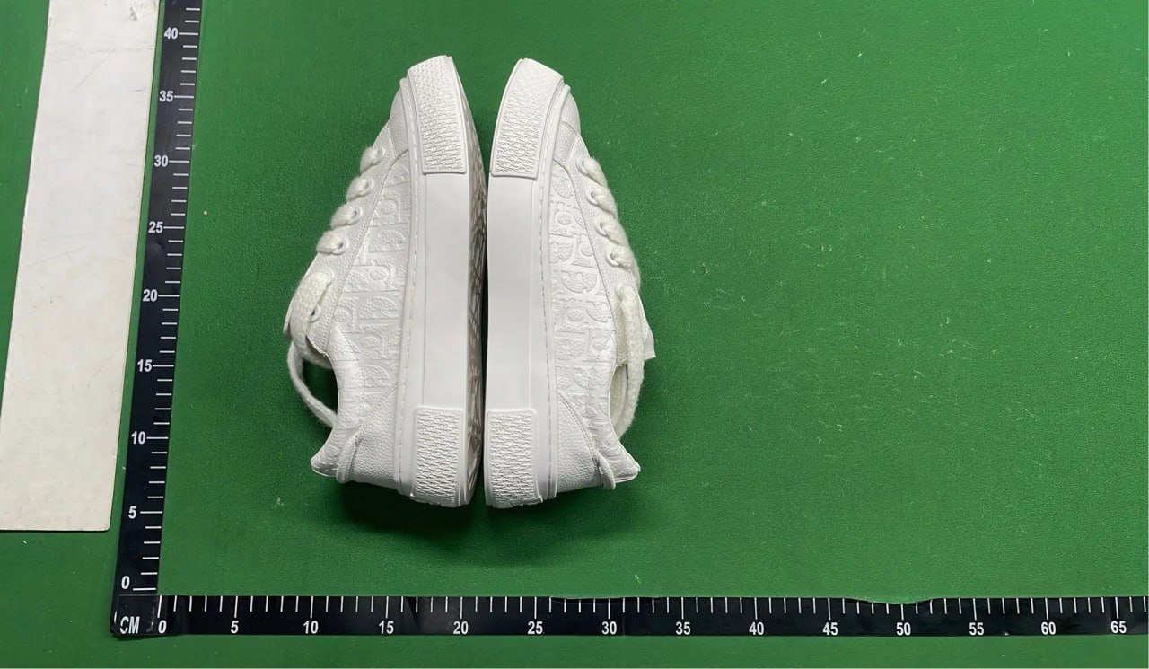 Dior B33 Shoe