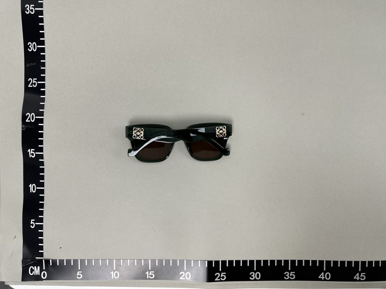 Loewe SunGlasses