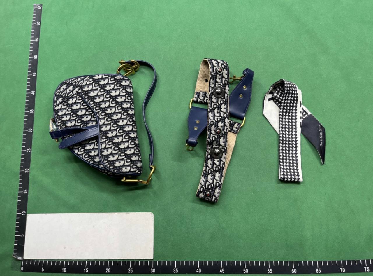 Dior Oblique Saddle Bags [40 styles]