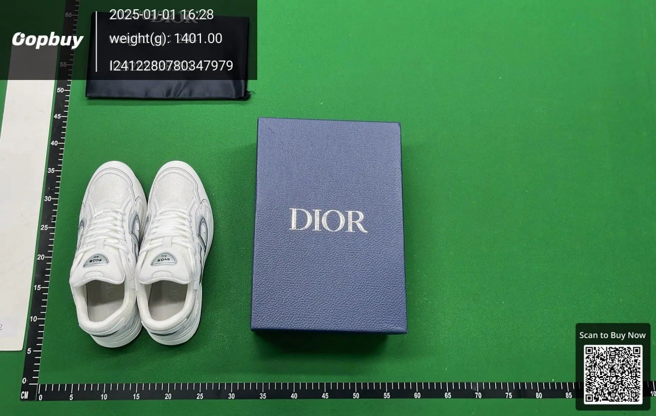Dior B30 Sneakers Shoes （30