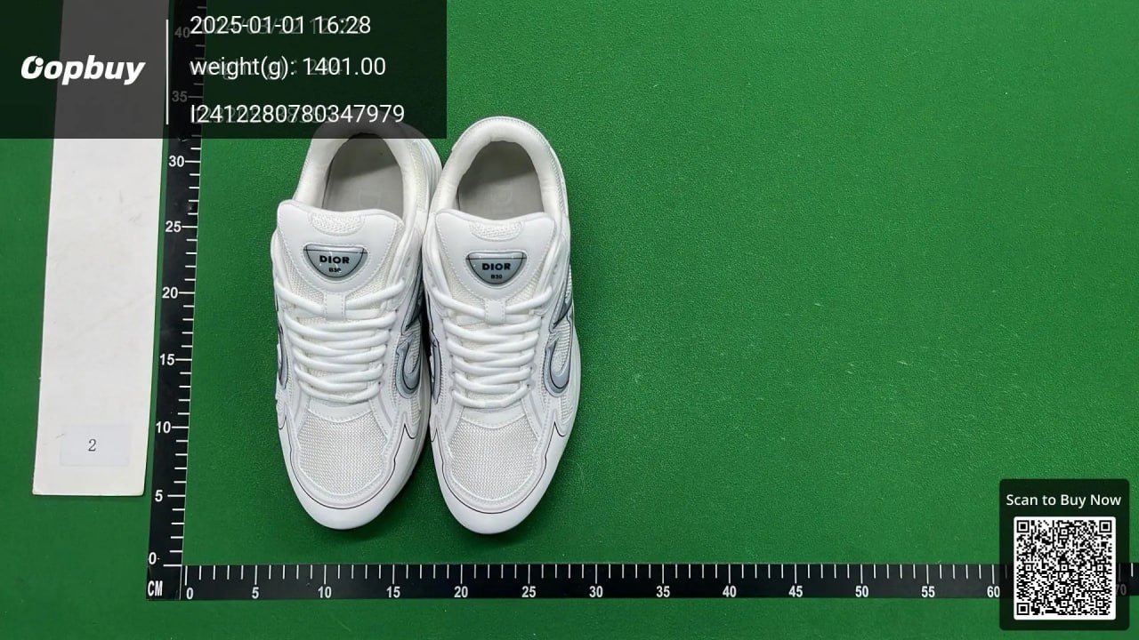 Dior B30 Sneakers Shoes （30