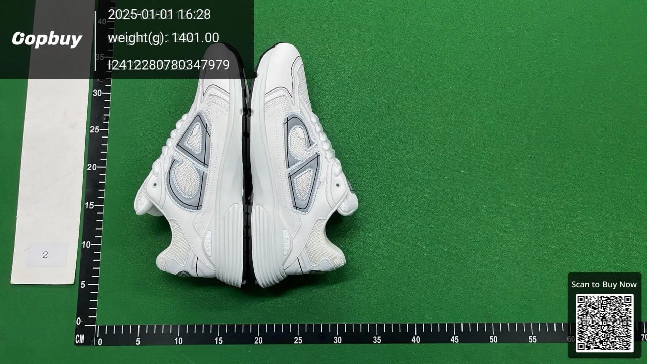 Dior B30 Sneakers Shoes （30
