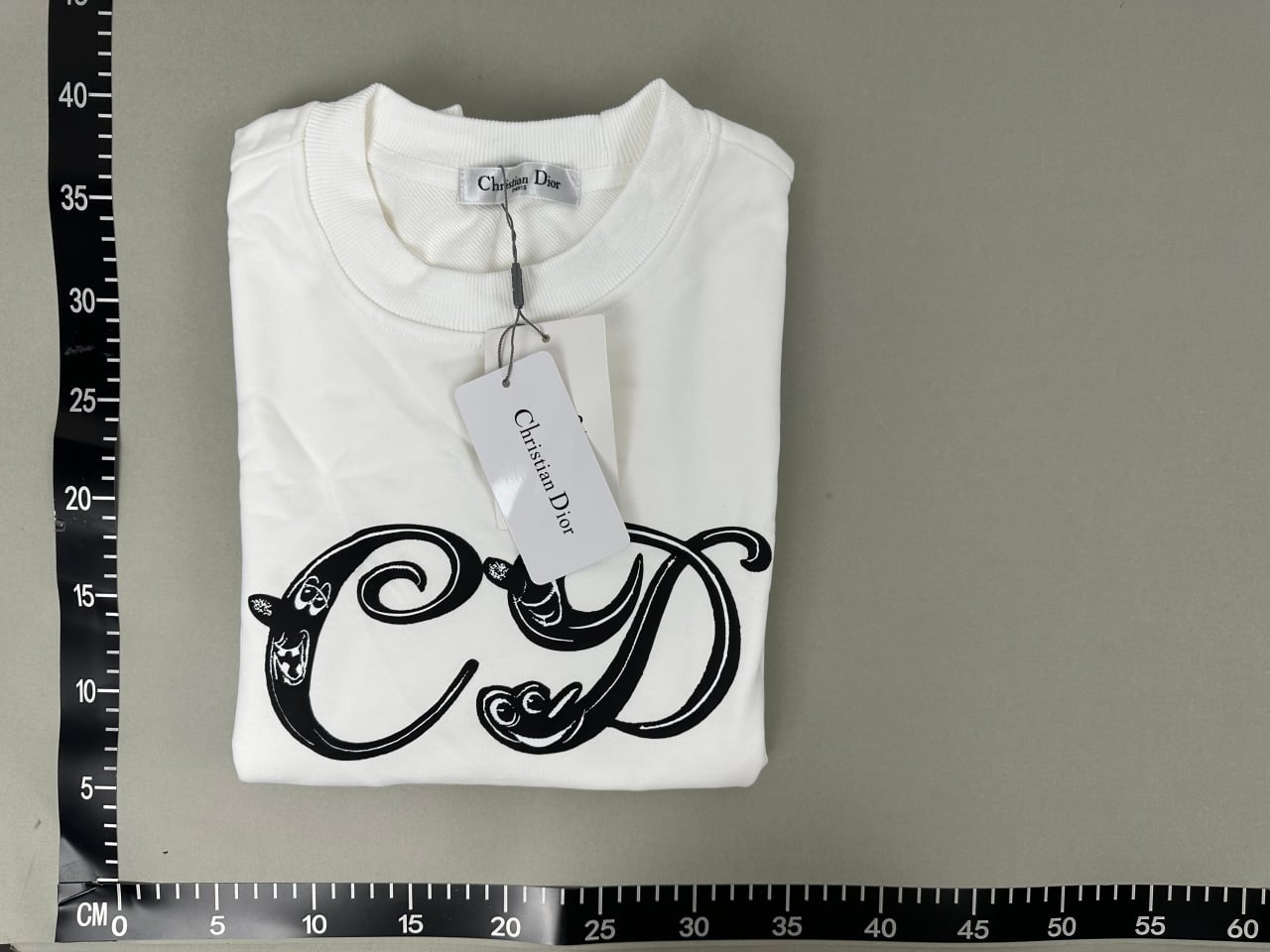 Dior Hoodie