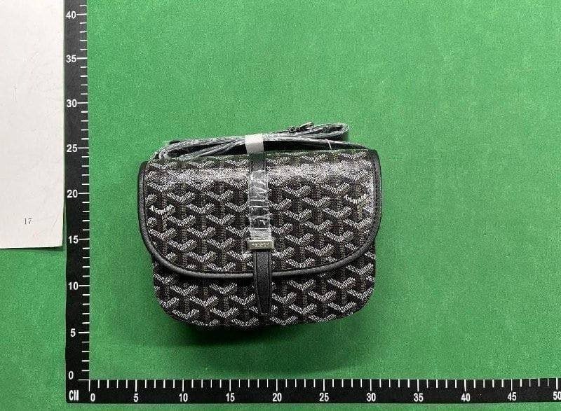 Goyard Bag                                