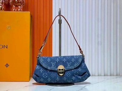 Louis Vuitton Underarm bag