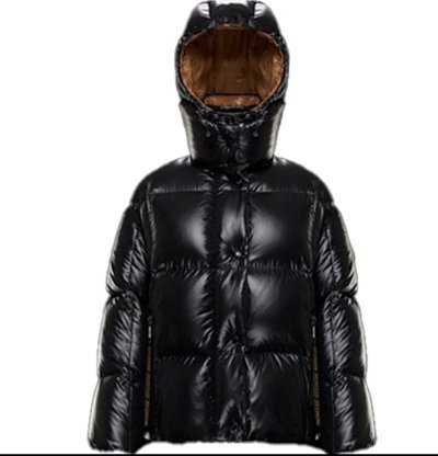 Moncler Parana Down Jacket 