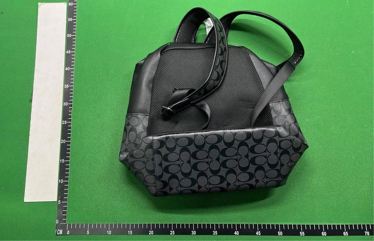 Coach Backpack 