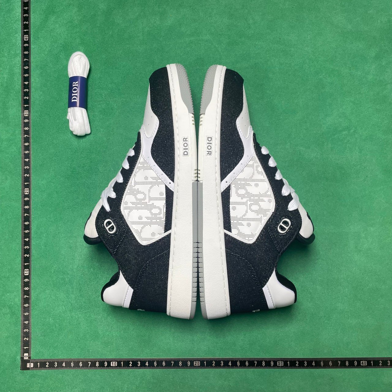 DIOR B27