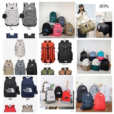 The North Face Backpack 