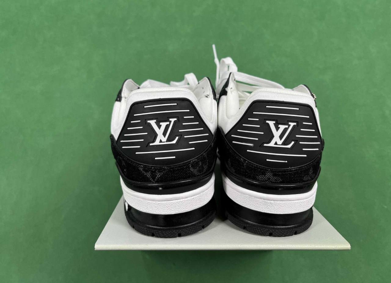 LV Skate & LV Trainer Shoes 