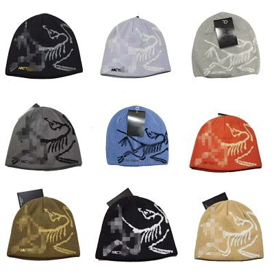 Arc'teryx Dino Skeleton Knitted Hat