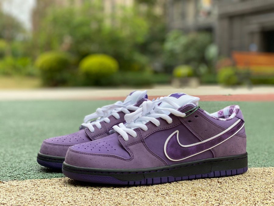 Nike Dunk SB & AJ 1
