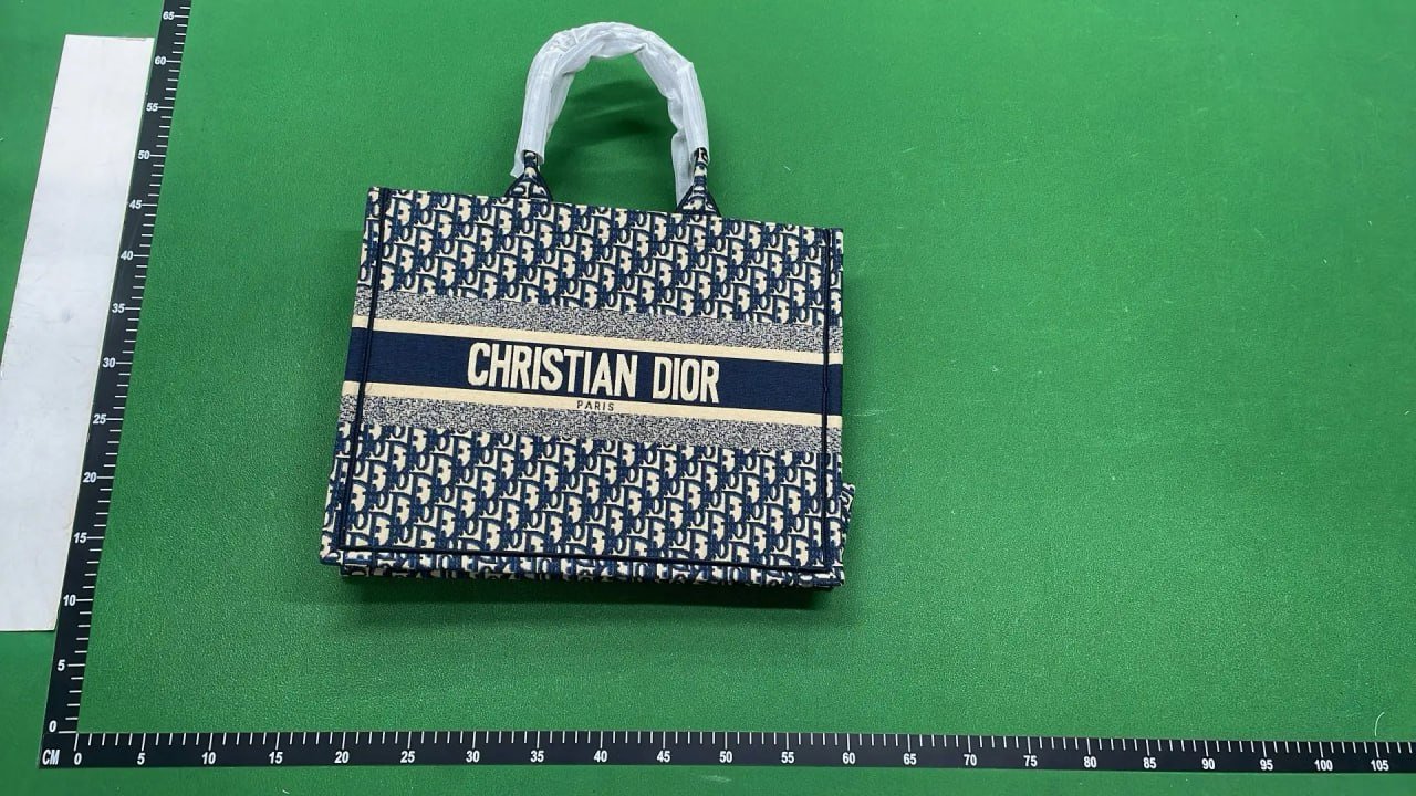 Christian Dior Book Tote Bag 