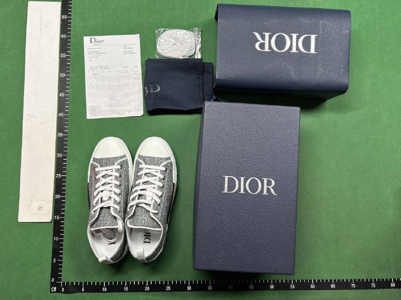 DIOR B23