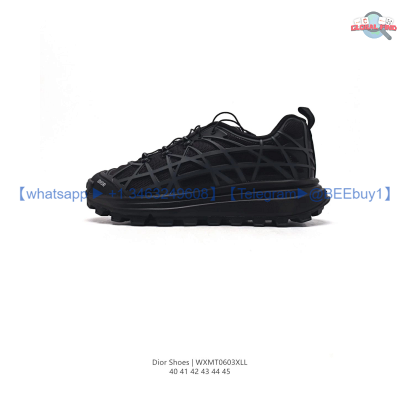 Dior b31