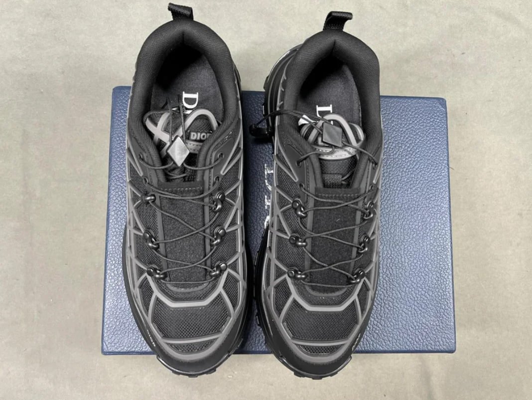 Dior b31