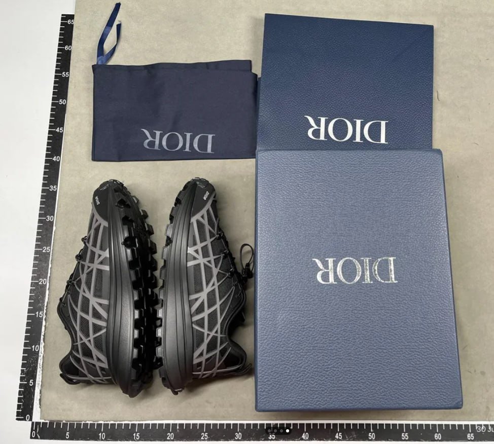 Dior b31