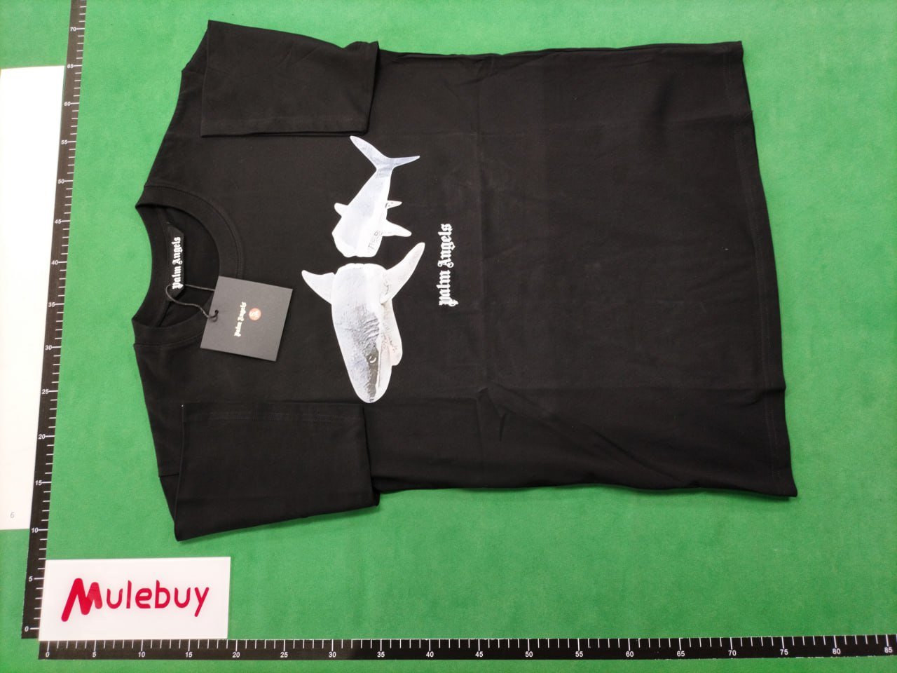 Palm Angels T-Shirts