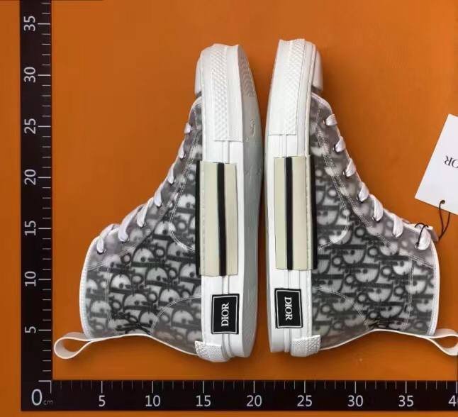 DIOR B23