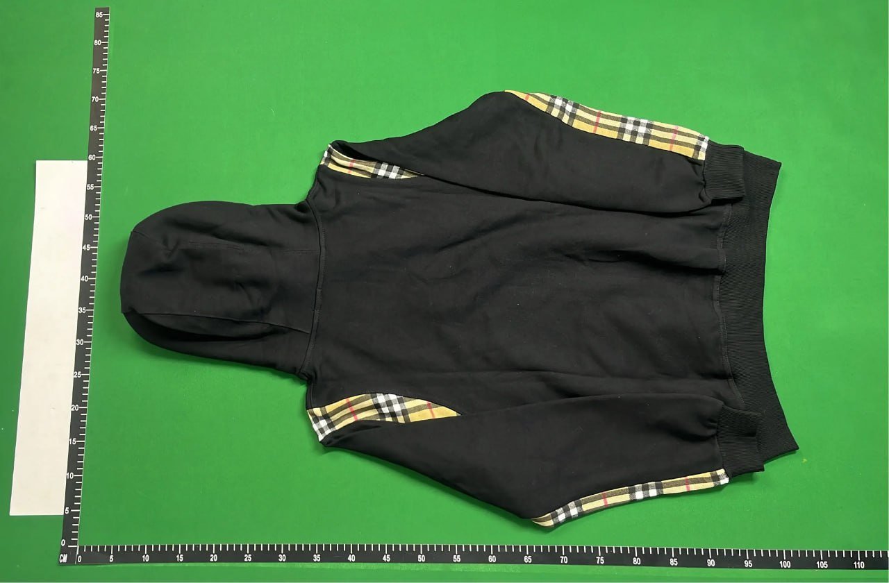 Burberry hoodie