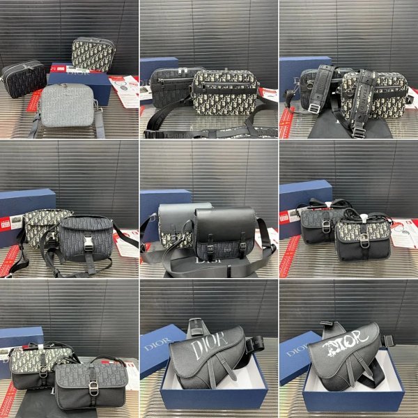 Dior camera bag