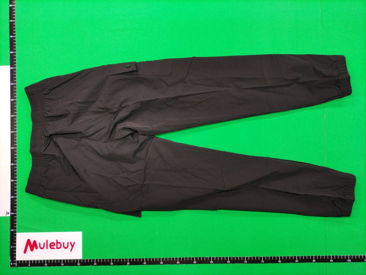 Stone Island Pants