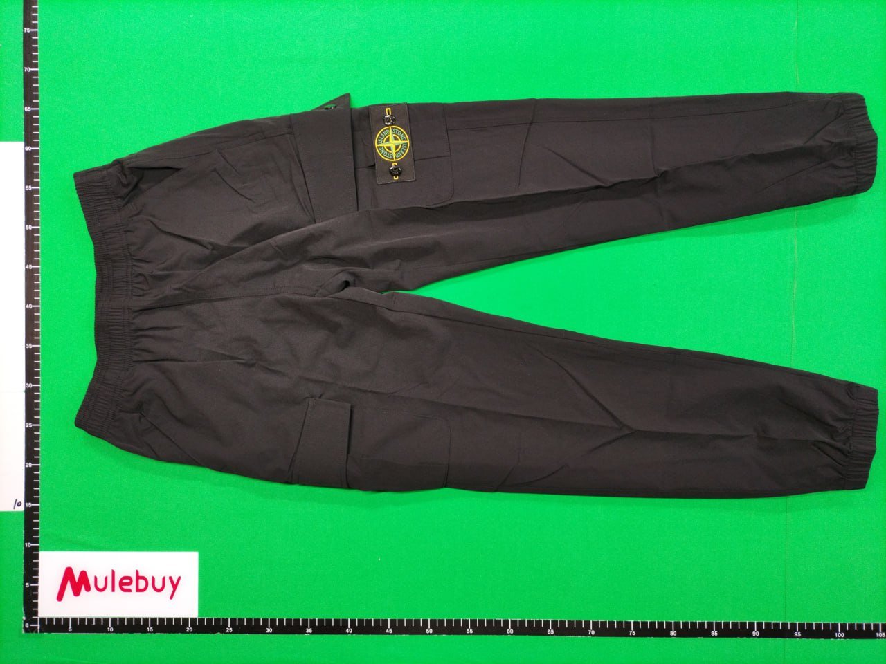 Stone Island Pants