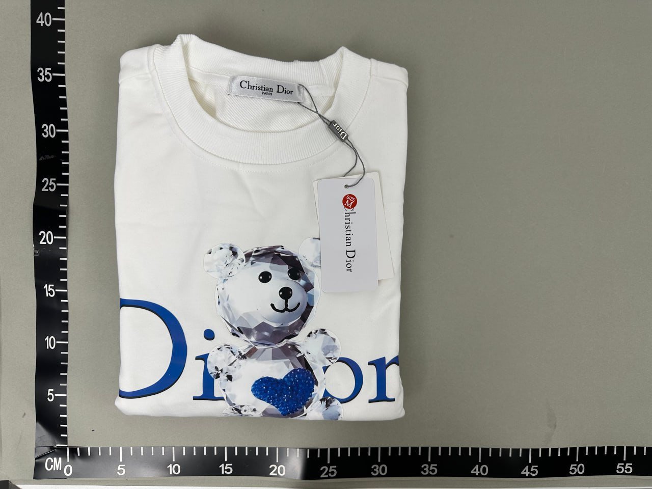Dior Hoodie