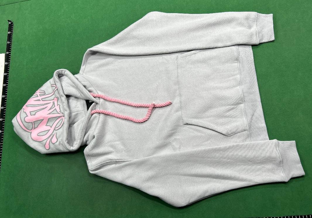 Synaworld Hoodie