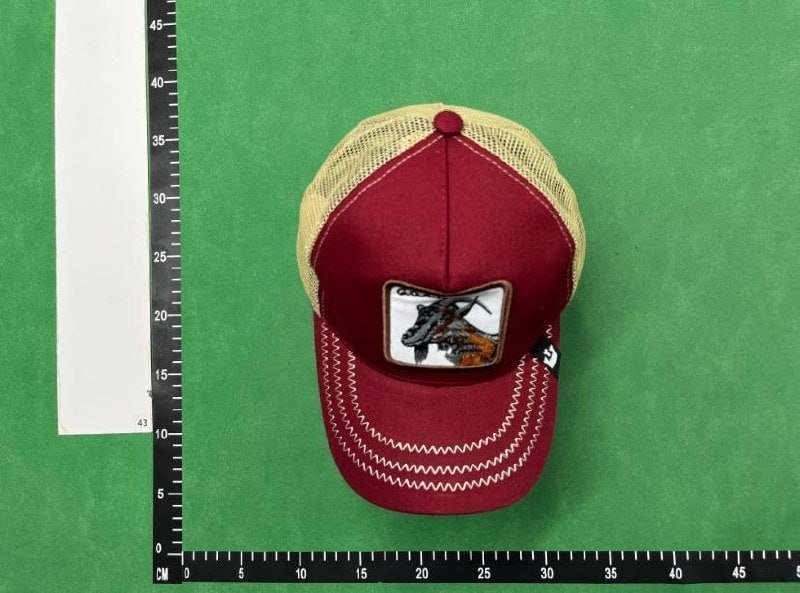 Animal baseball cap 