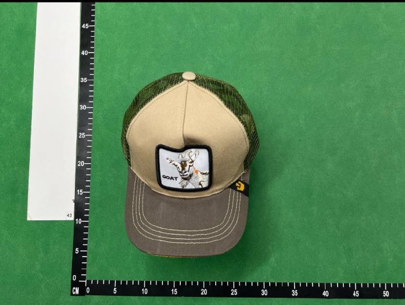 Animal baseball cap 
