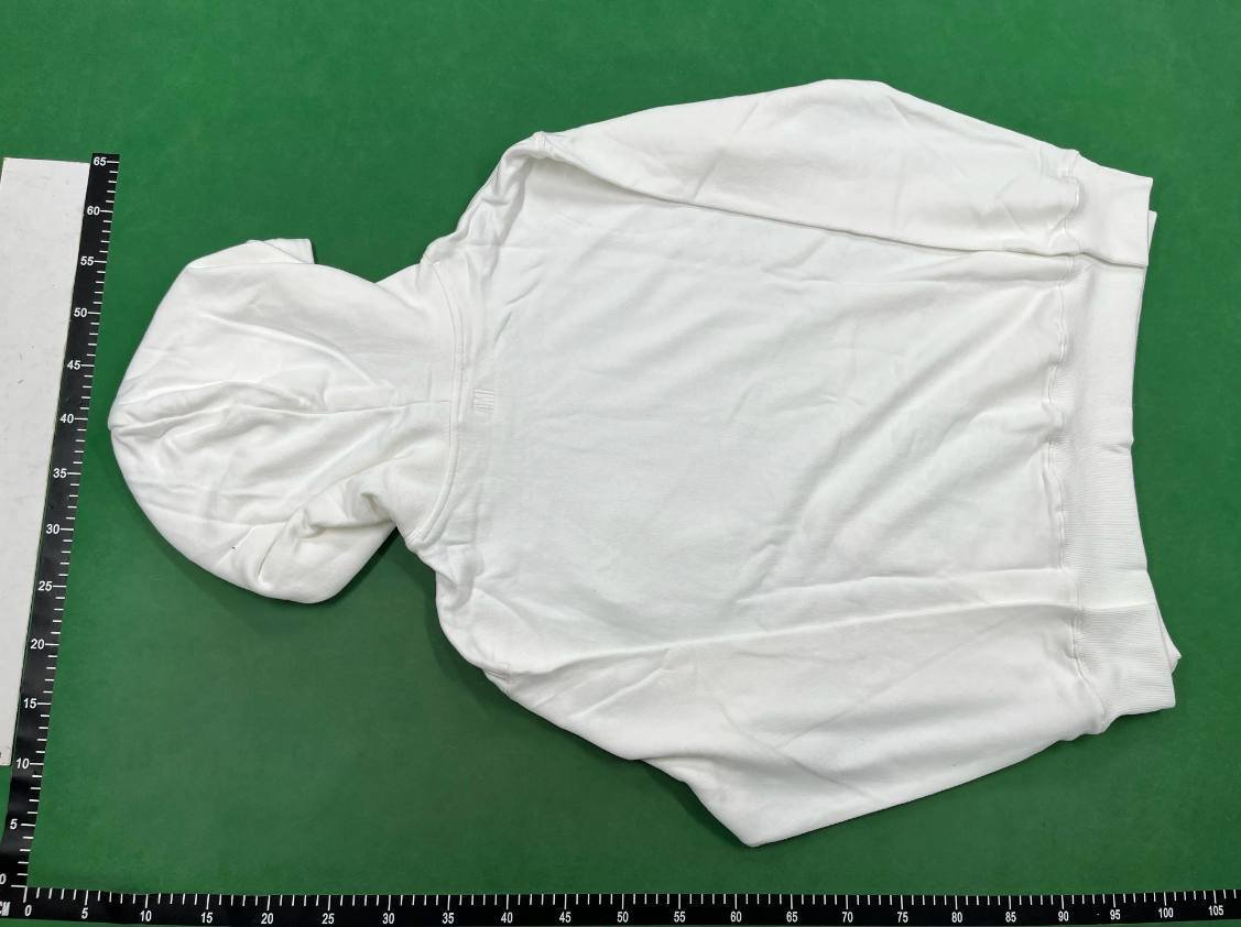 AMI Hoodie