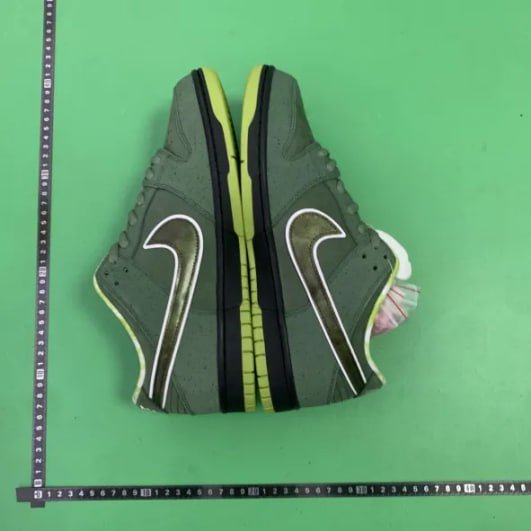 CONCEPTS x Nike Dunk SB 