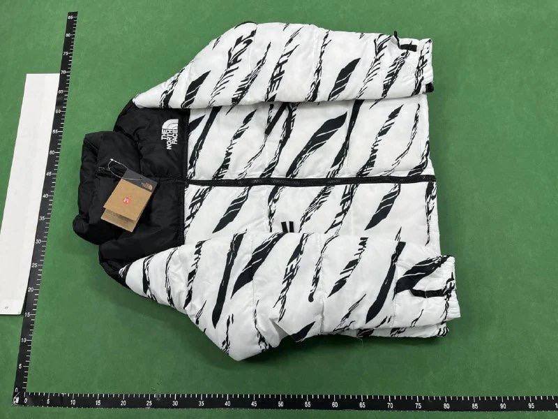 The North Face down jacket