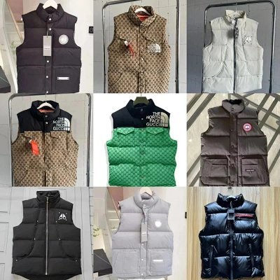 The north face down jacket vest 