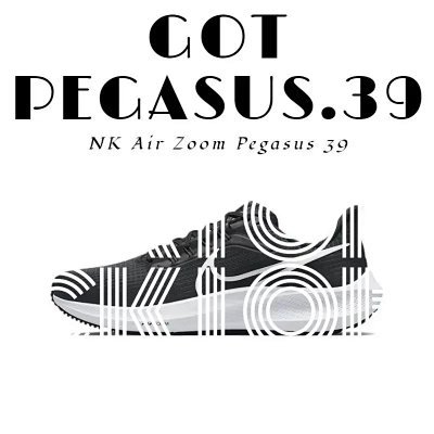 GOT-ZOOM FLY5