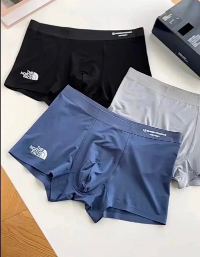   The North Face
