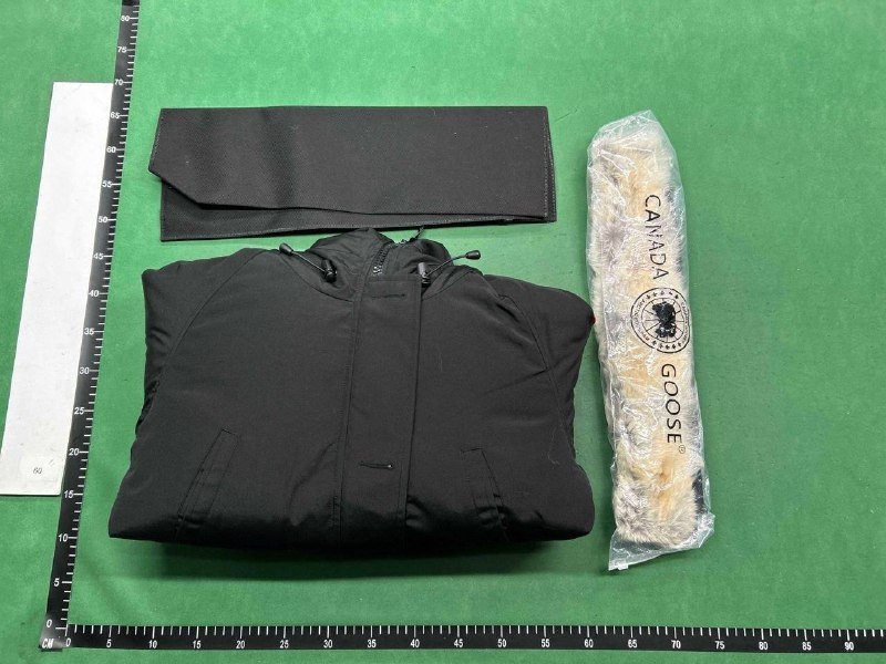 Canada Goose&Moncler Down Jacket
