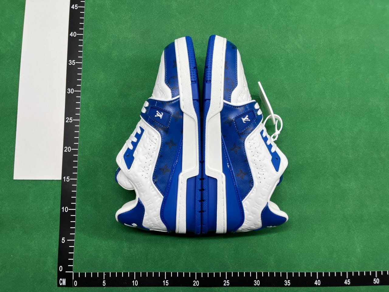 FS-LV Trainer